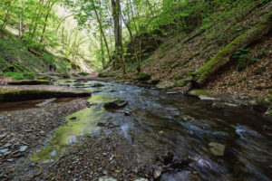 Zwei Wanderer wandern am Ehrbach entlang. Zwei Wanderer wandern am Ehrbach entlang.